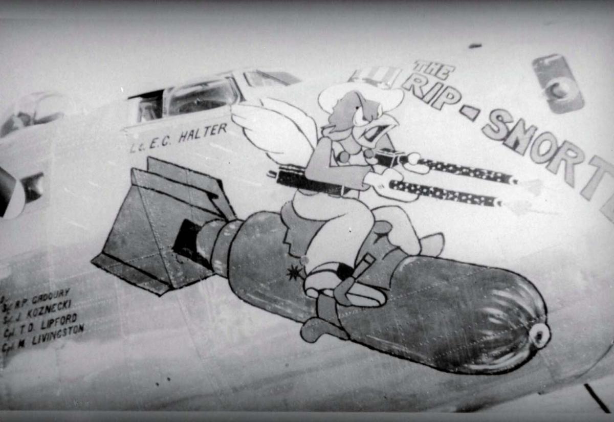 Nose Art Hard to Get!　他　ノーズアート お気に入り Nose Art Hard to Get! 他 ノーズアート 洋書 - 洋書